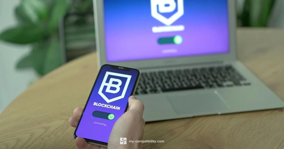 Solana Wallets - My Compatibility