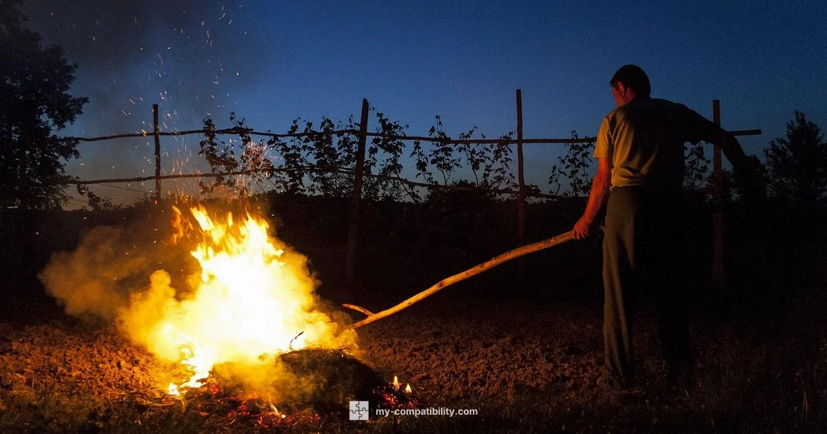 Top Leo Matches - My Compatibility