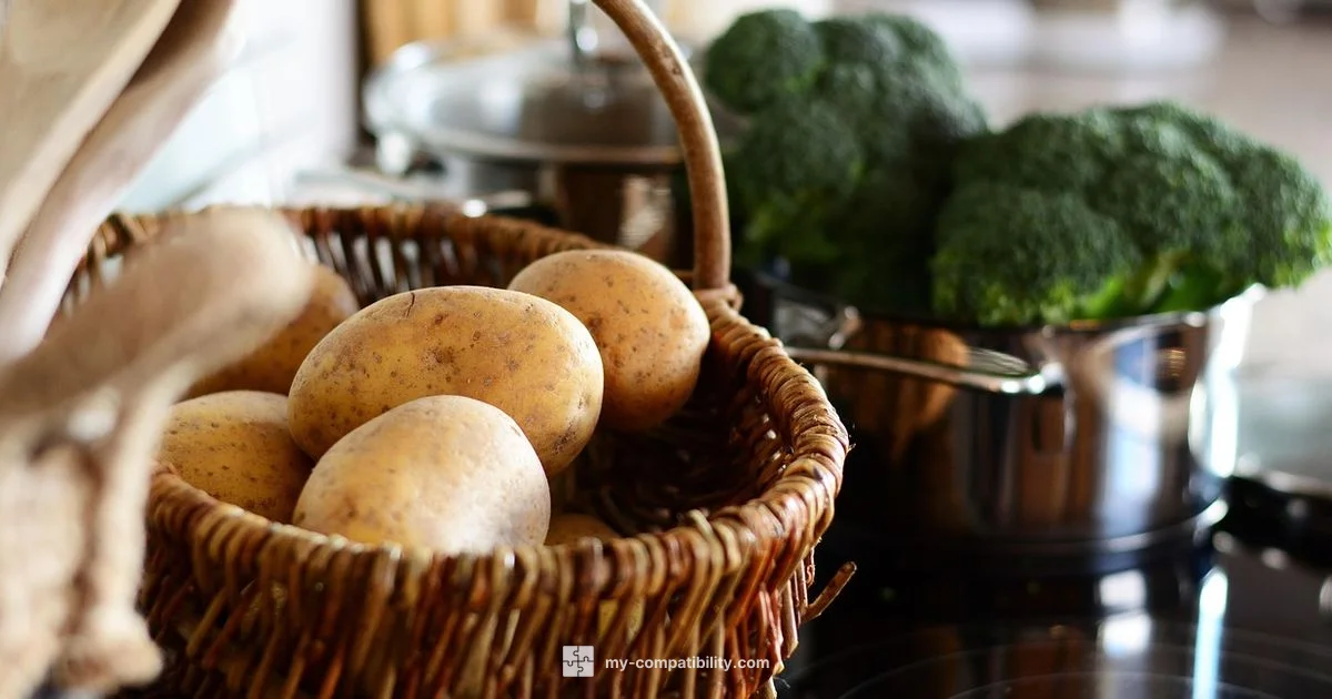 Induction Symbol Meaning - My Compatibility