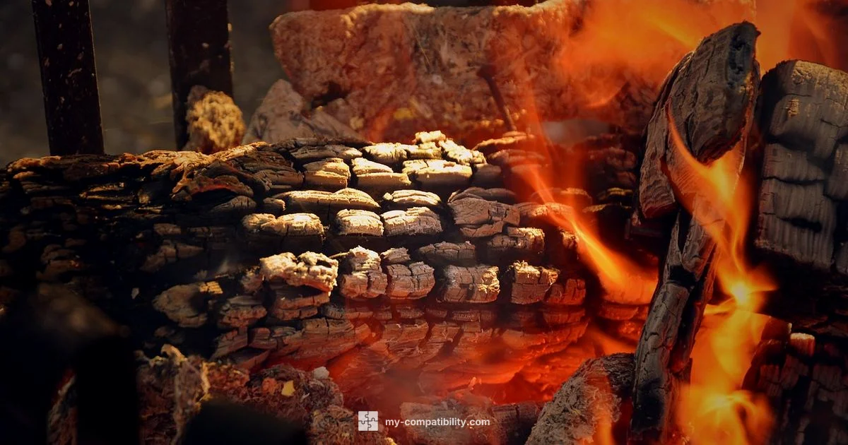 Fire Sign Pairing - My Compatibility