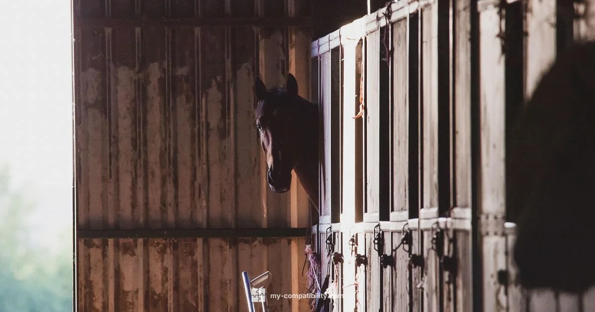 Horse and Dog Compatibility - My Compatibility