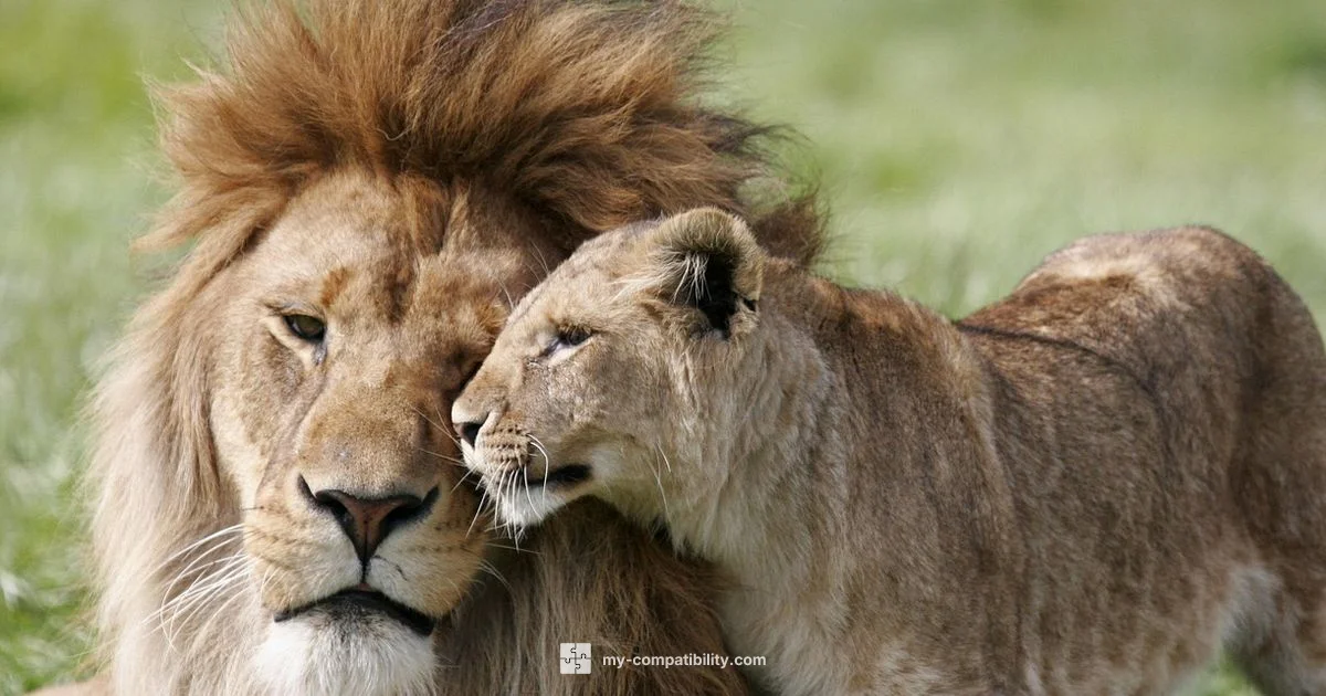 Leo Compatibility - My Compatibility