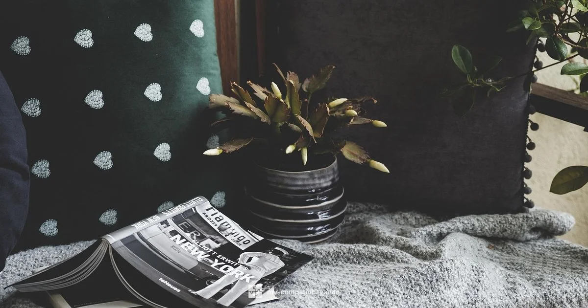 Taurus x Cancer: Compatibility Taurus x Cancer: Compatibility - My Compatibility