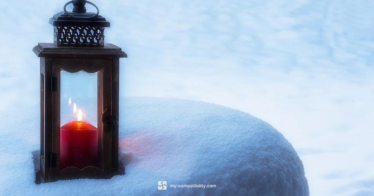 Leo & Partners - My Compatibility