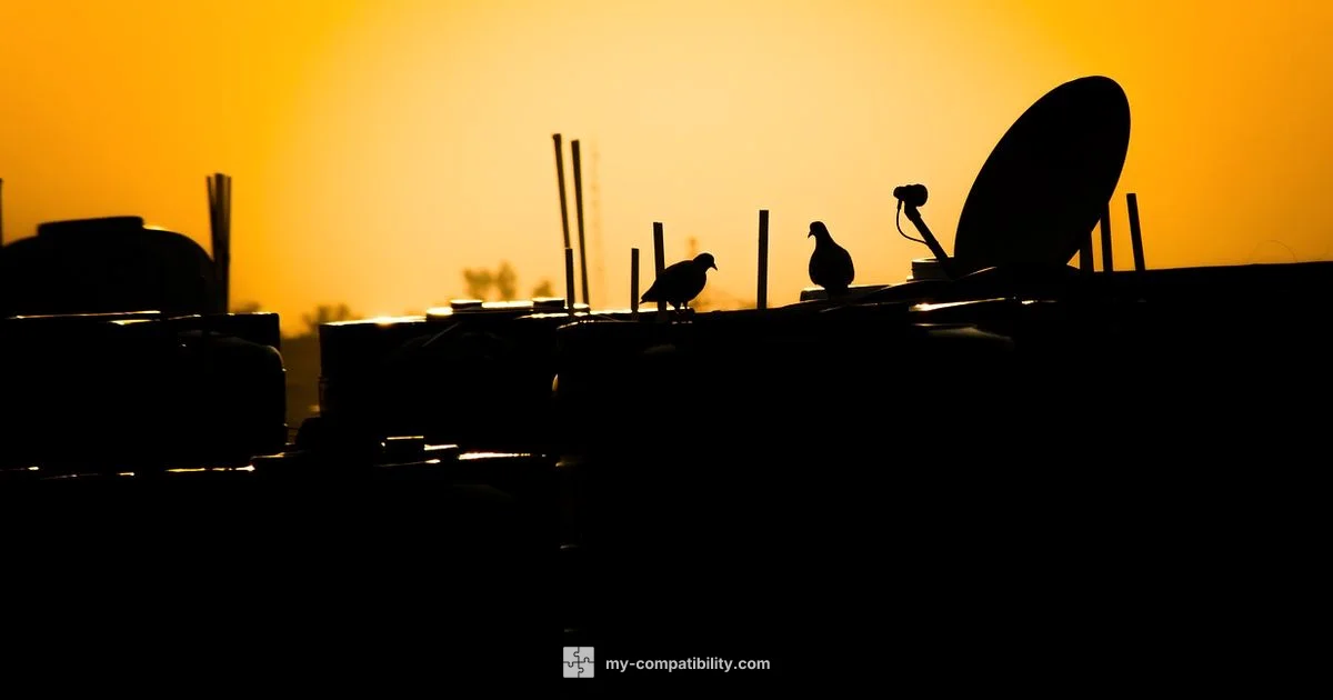 Libra Marriage Matches - My Compatibility