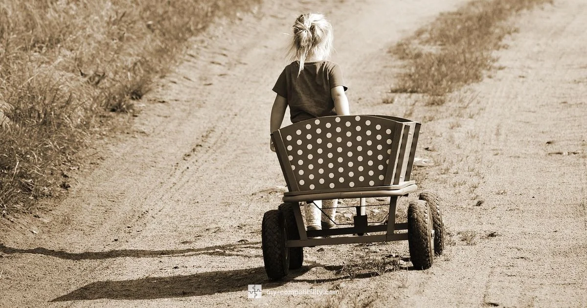 Double Stroller Compatibility - My Compatibility