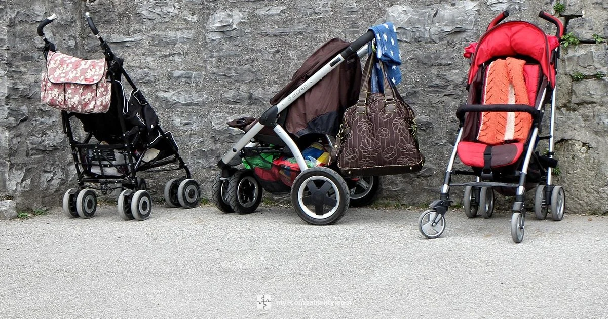 Mesa Compatible Stroller - My Compatibility