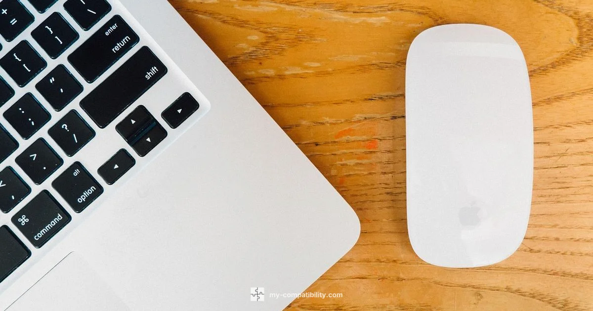 Mac Mouse Guide - My Compatibility