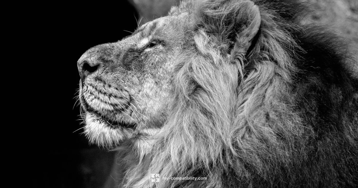 Scorpio-Leo Match - My Compatibility