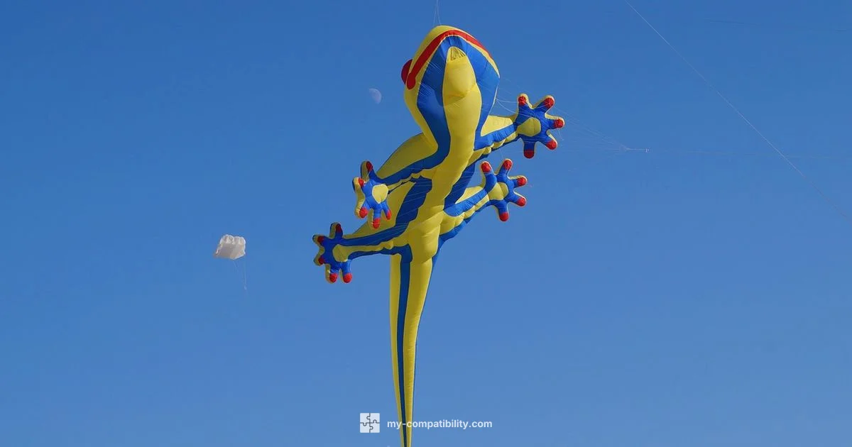 Dragon-Monkey Harmony - My Compatibility