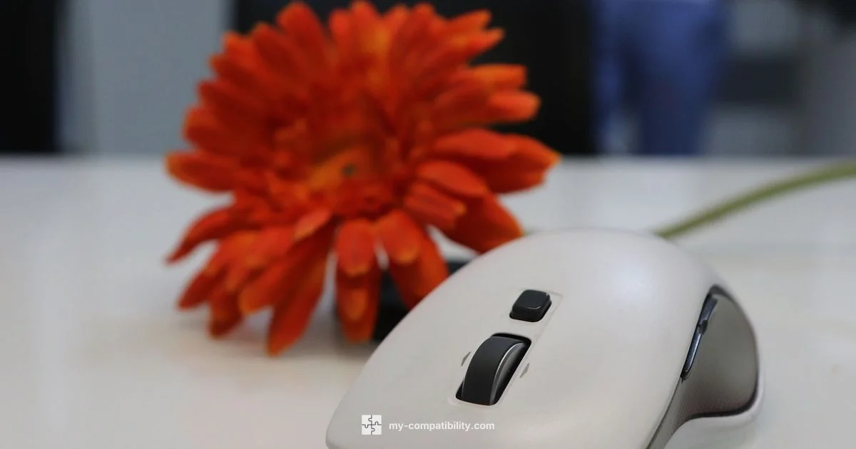 Mac Mouse Guide - My Compatibility