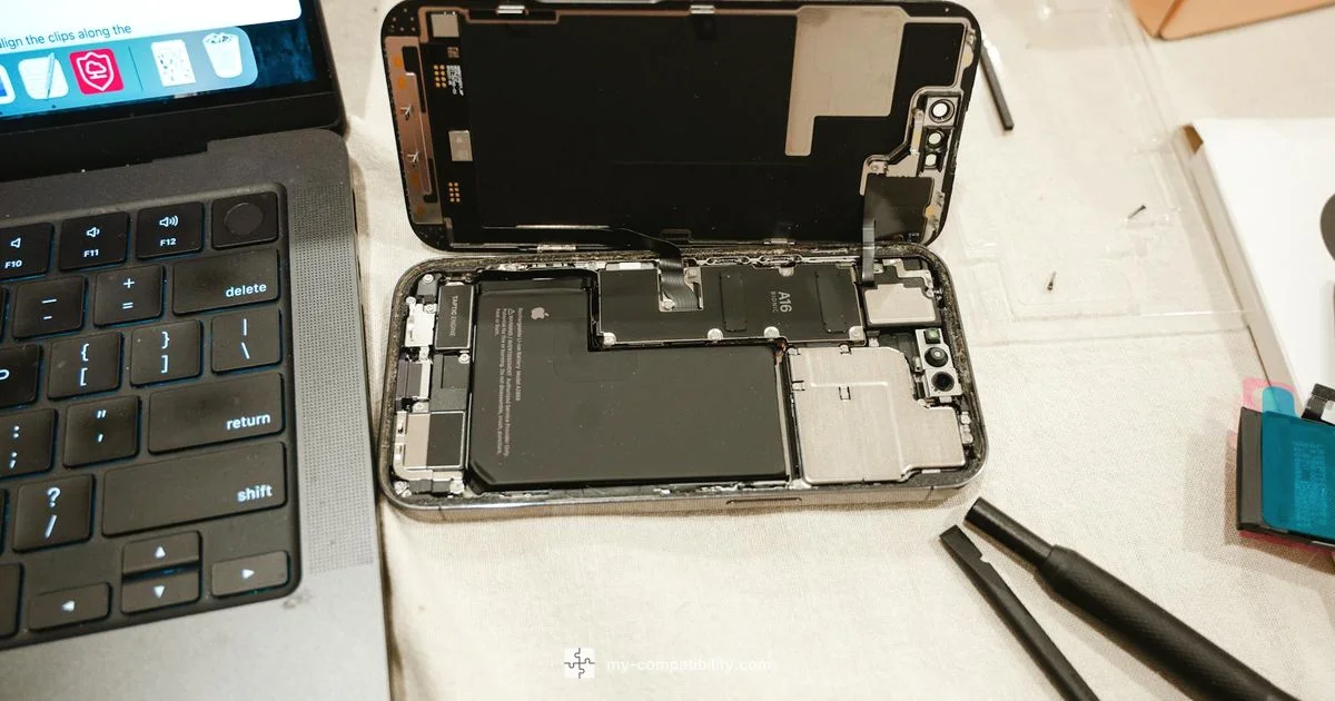 Battery Compatibility - My Compatibility