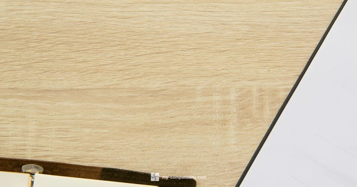 Capricorn & Sagittarius - My Compatibility