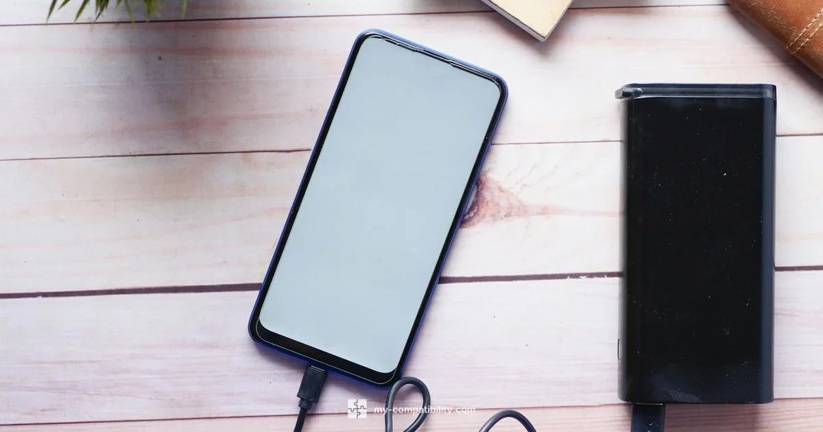 iPhone Qi Compatibility - My Compatibility