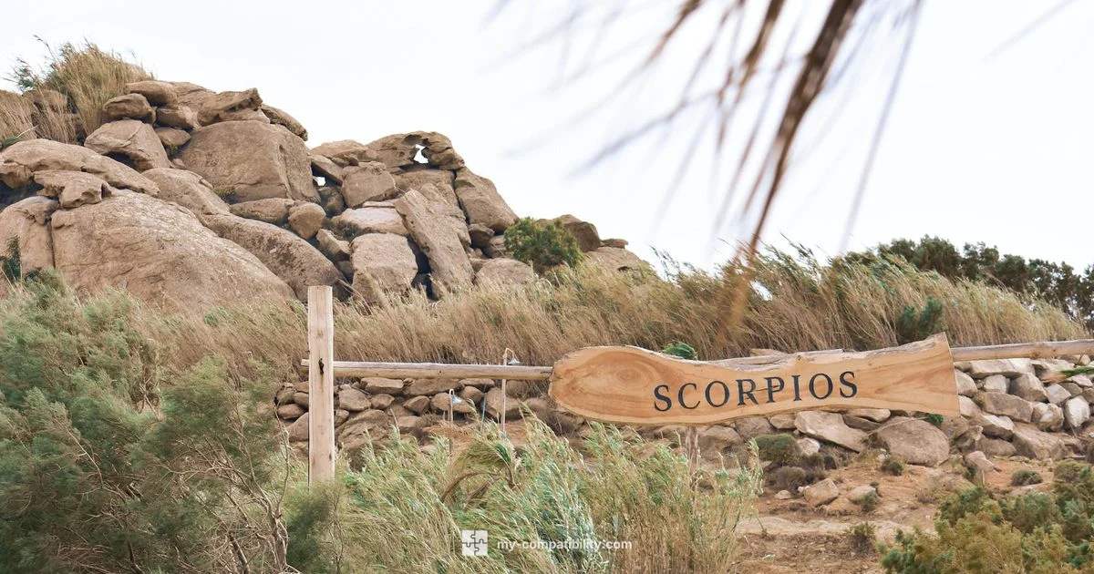 Scorpio Compatibility Guide Scorpio Compatibility Guide - My Compatibility