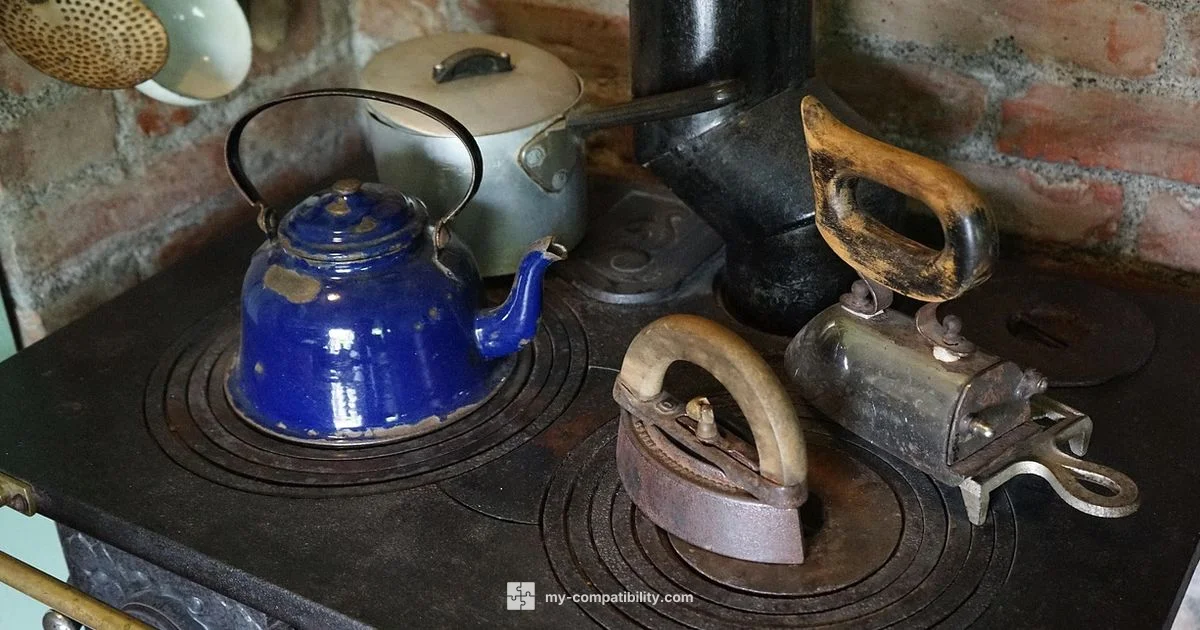 Induction Wok Guide - My Compatibility