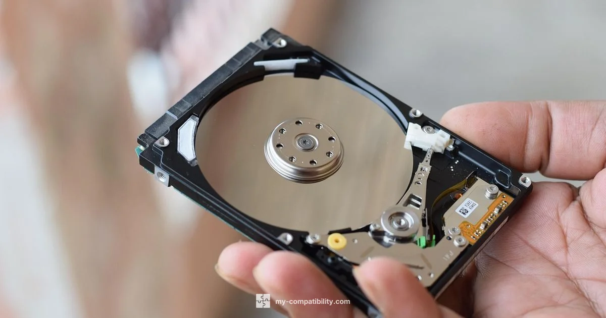 SSD Compatibility Guide - My Compatibility