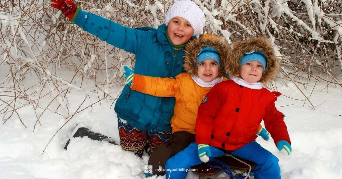 Leo-Gemini Union - My Compatibility