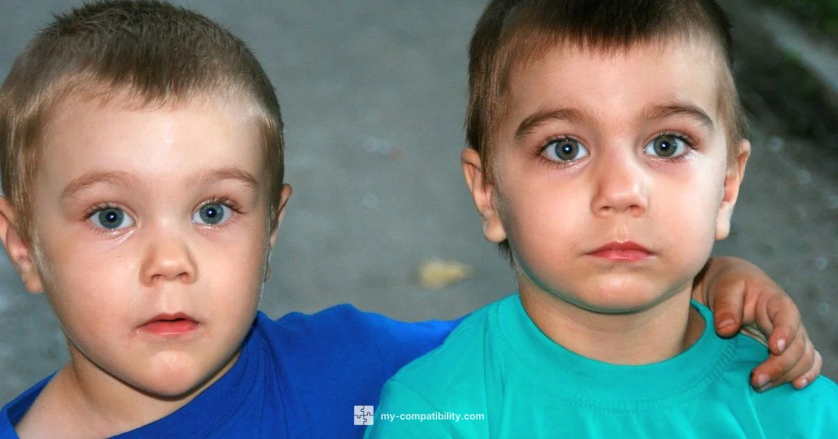 Gemini vs Virgo Gemini vs Virgo - My Compatibility