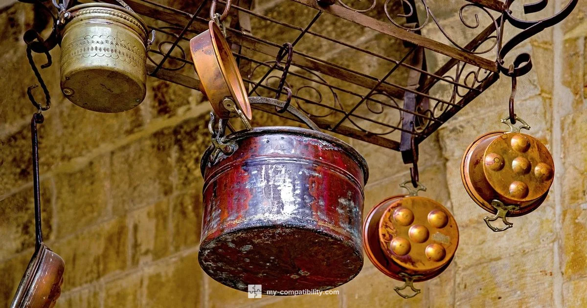 Induction-Safe Pan Guide - My Compatibility