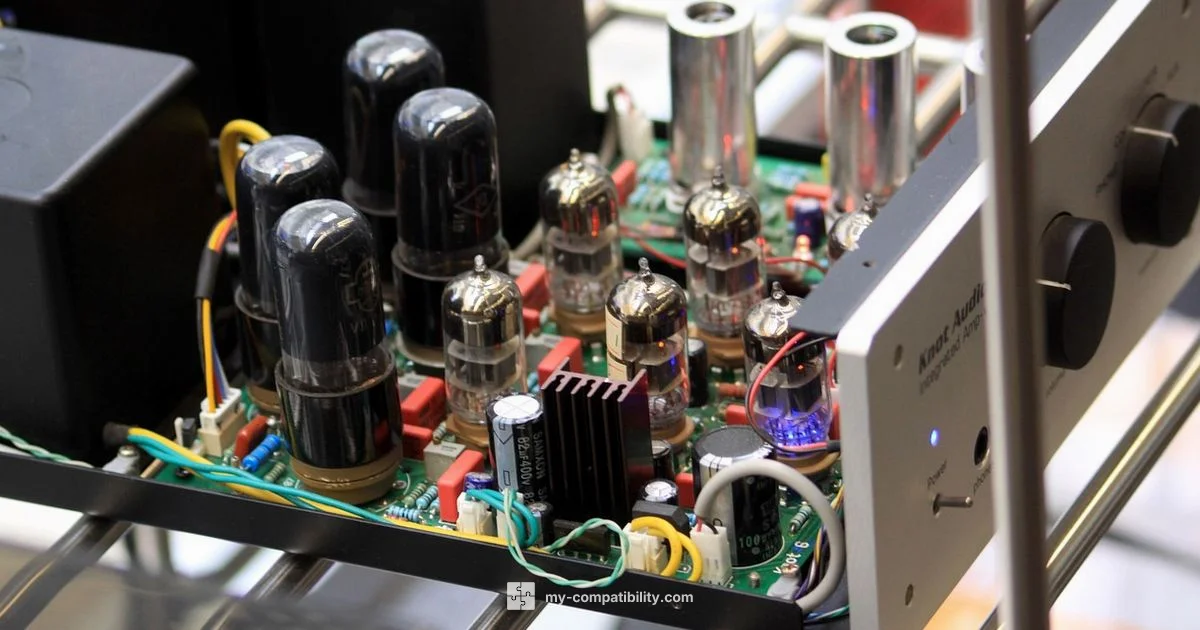 R vs L Compatibility - My Compatibility