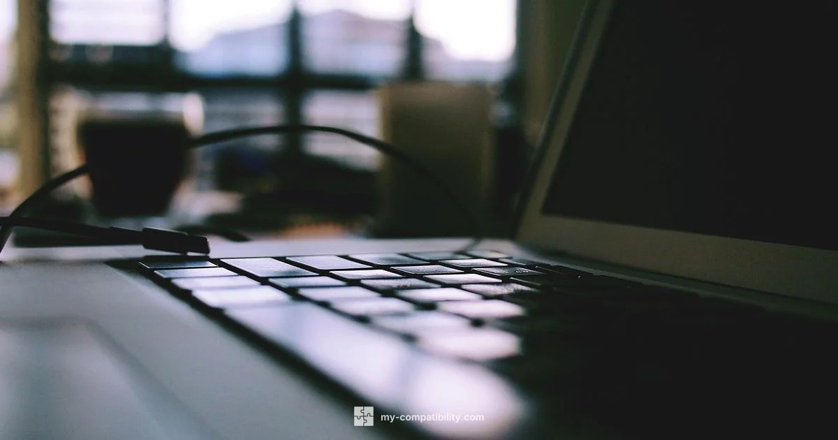 Mac Steam Compatibility - My Compatibility