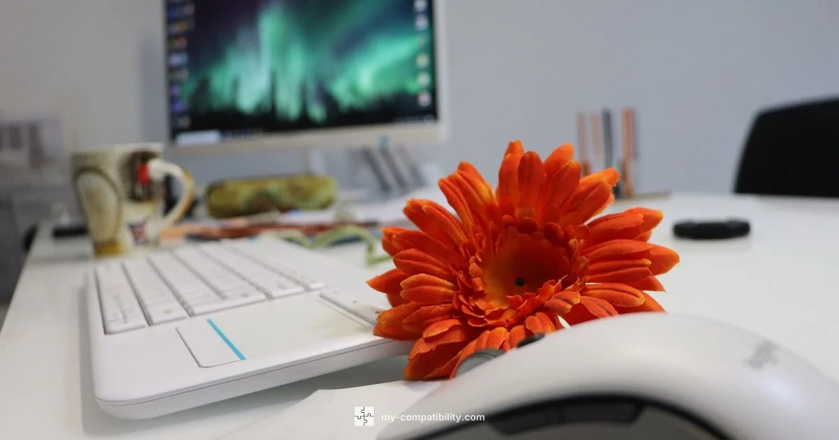 Windows 11 Ready? - My Compatibility