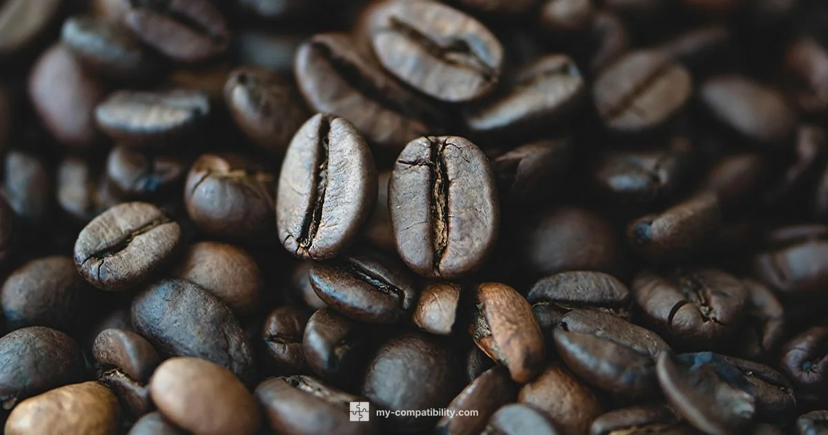 Aries vs Capricorn - My Compatibility