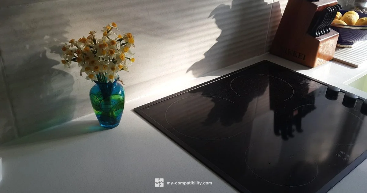 Induction Compatibility Guide - My Compatibility