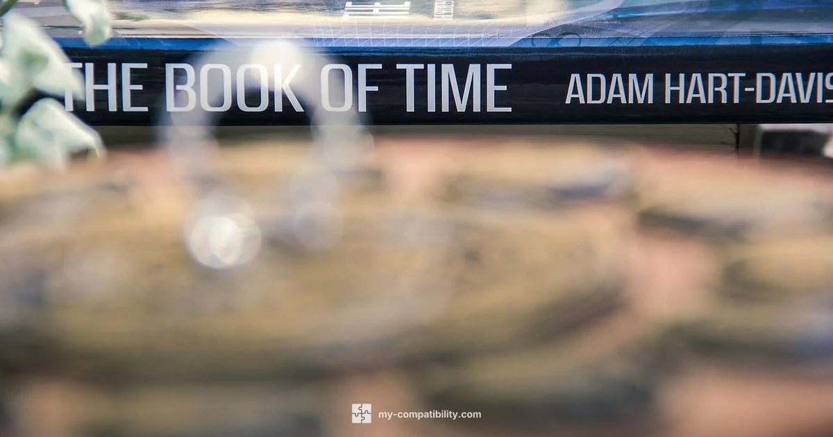 Gemini Compatibility - My Compatibility