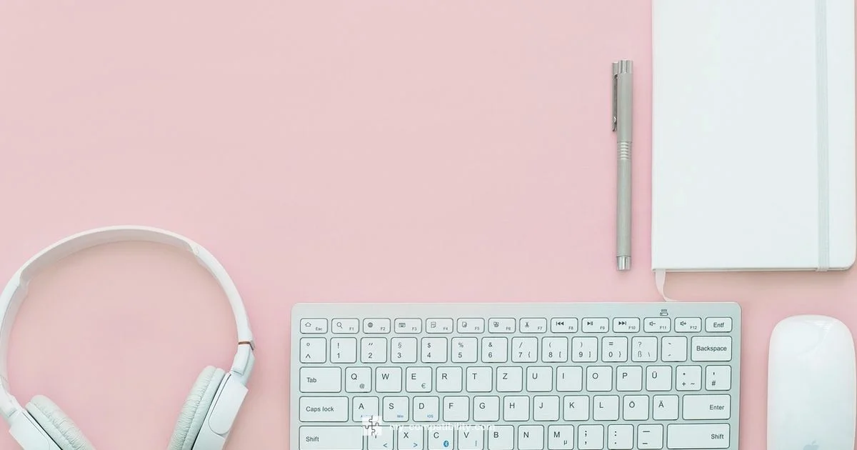 Cheap Cartridges Guide - My Compatibility