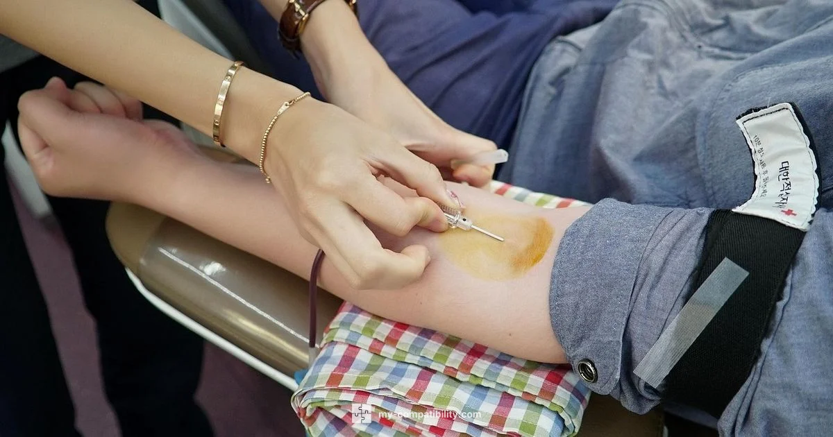 Understanding Blood Compatibility - My Compatibility