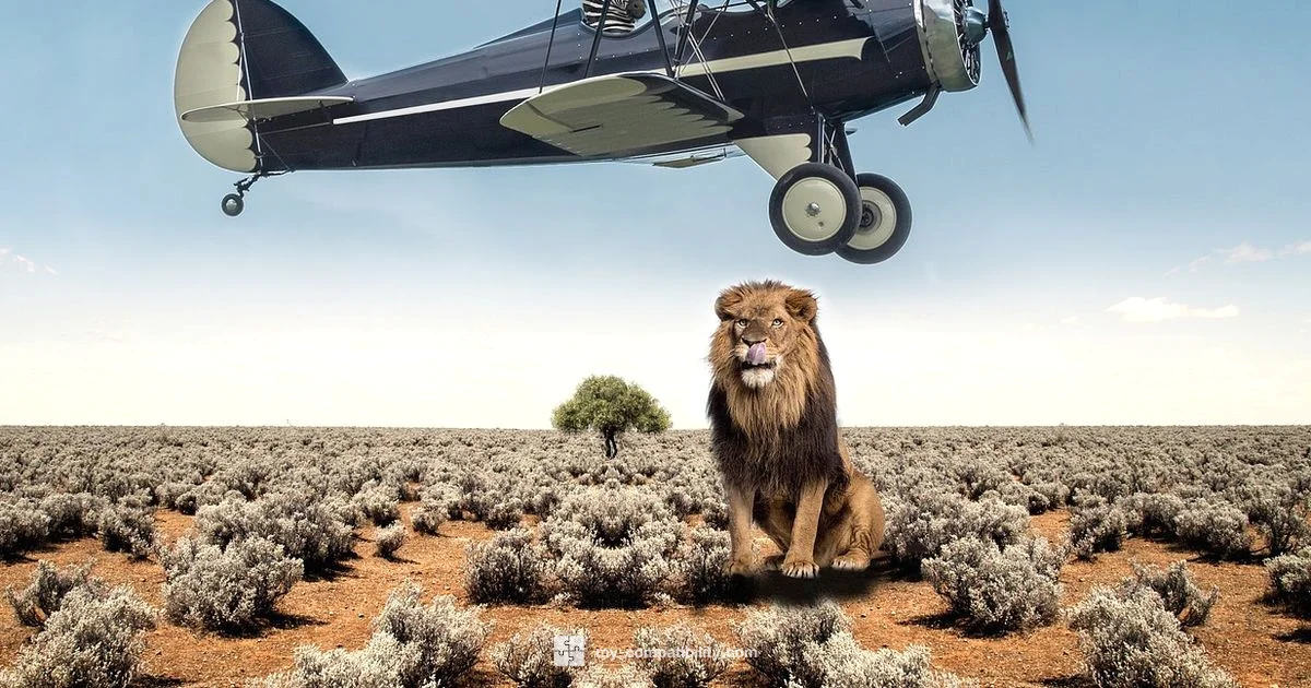 Libra & Leo Compatibility - My Compatibility