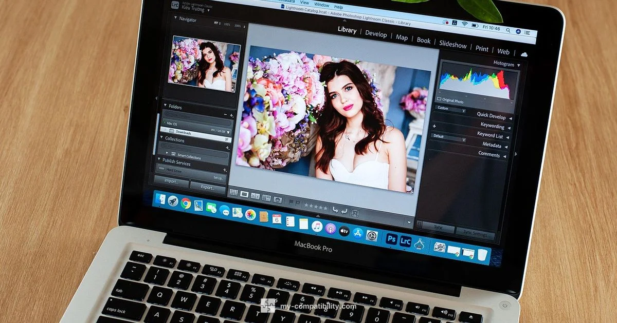 Apple Display Harmony - My Compatibility