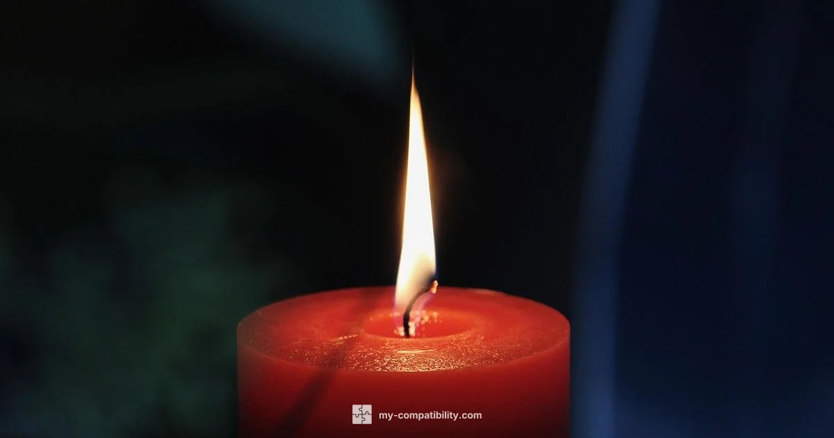 Venus in Virgo - My Compatibility