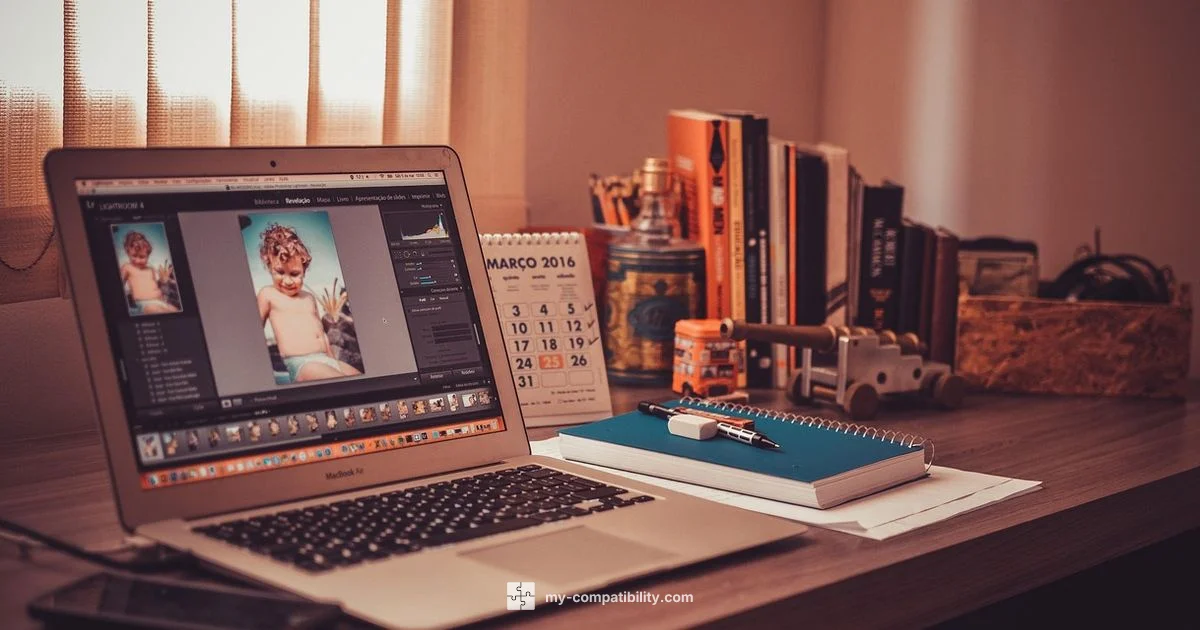 Compatibility vs Portability - My Compatibility