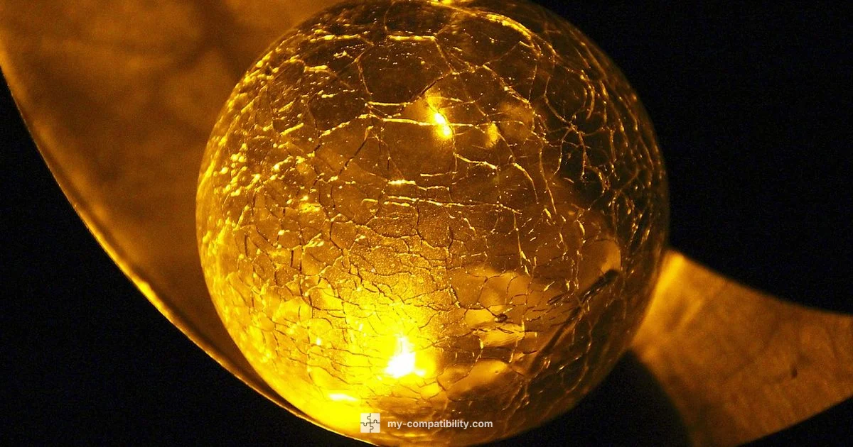 Leo & Cancer Bond - My Compatibility