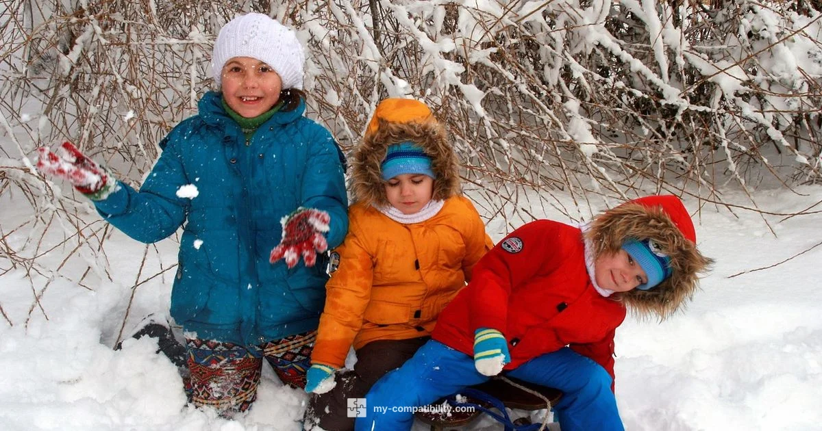 Gemini Compatibility - My Compatibility