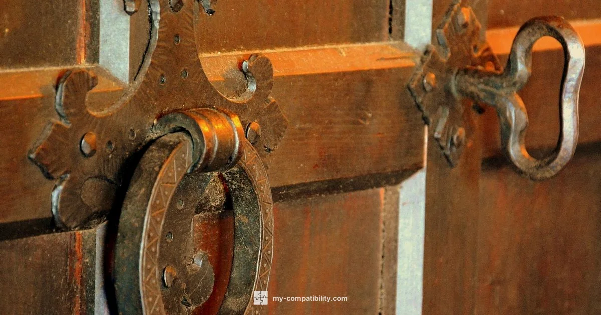 Ring-Compatible Locks - My Compatibility