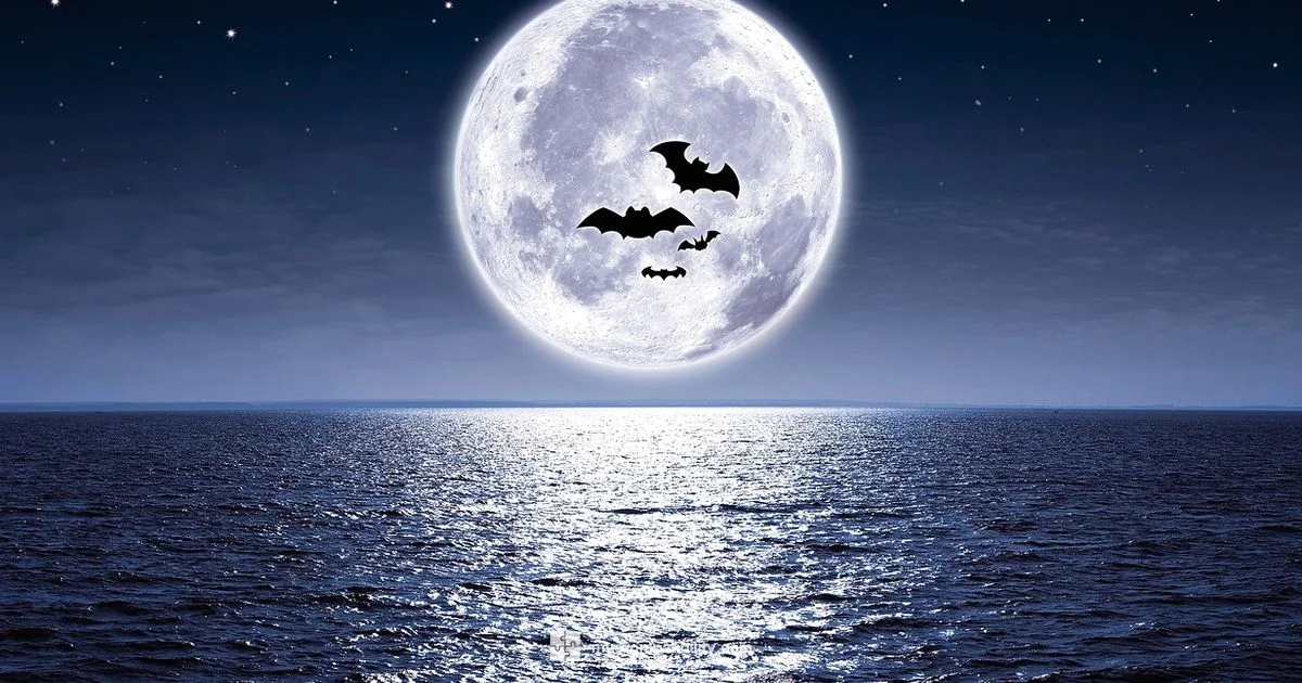 Pisces Love Map - My Compatibility