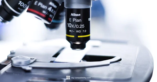 Compatible Test Essentials - My Compatibility