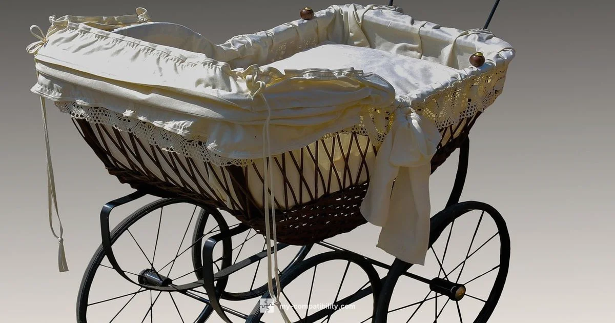 Graco Compatibility - My Compatibility