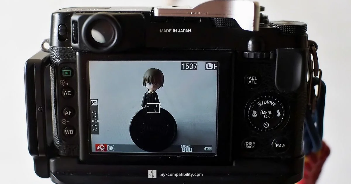 Spark 10c LCD - My Compatibility