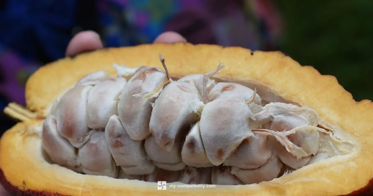 Dolce Gusto Pods - My Compatibility