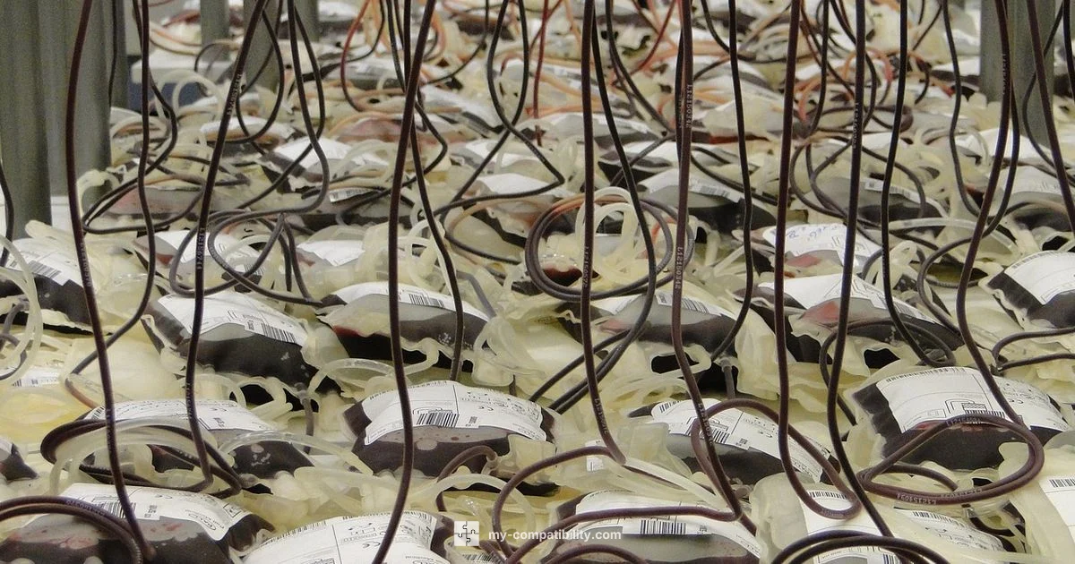 ABO Compatibility Guide - My Compatibility