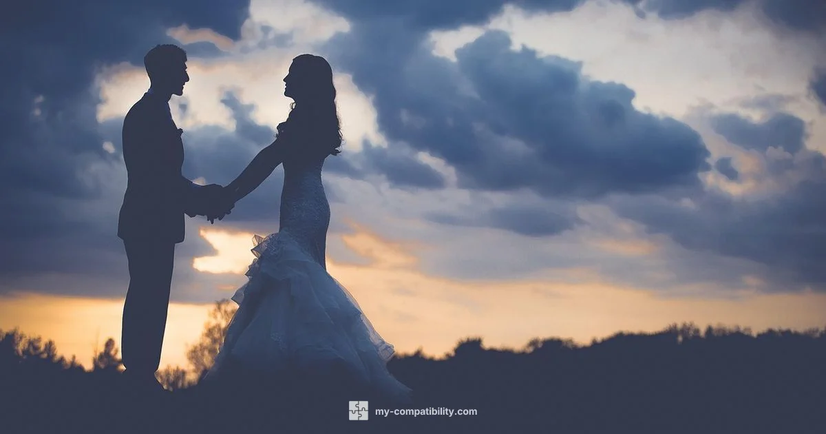 Cosmic Match Dynamics - My Compatibility