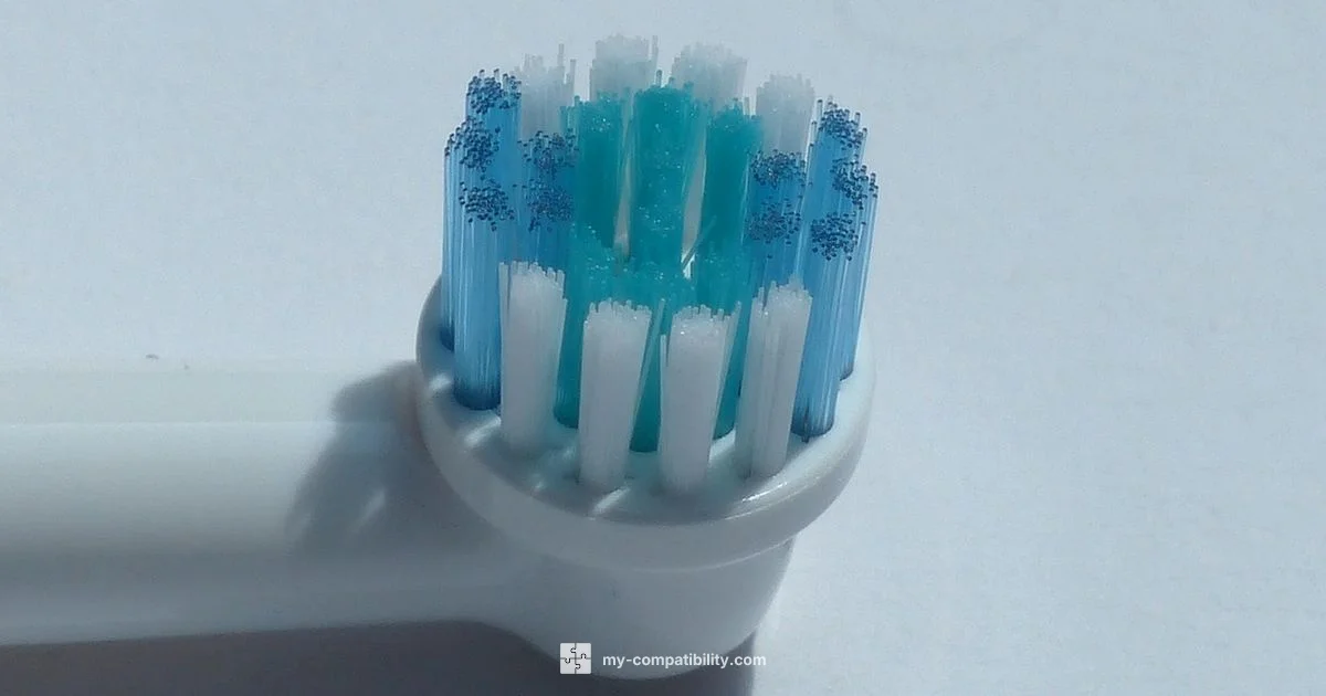 Compatible Heads Guide - My Compatibility