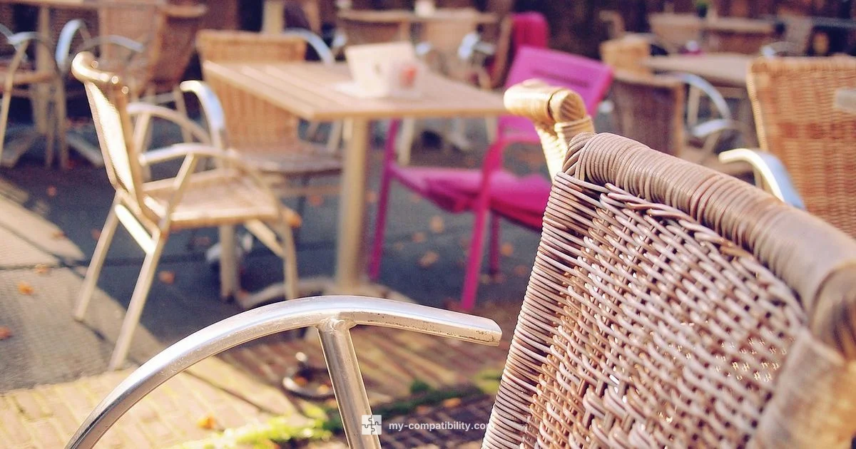 July vs August Leo - My Compatibility