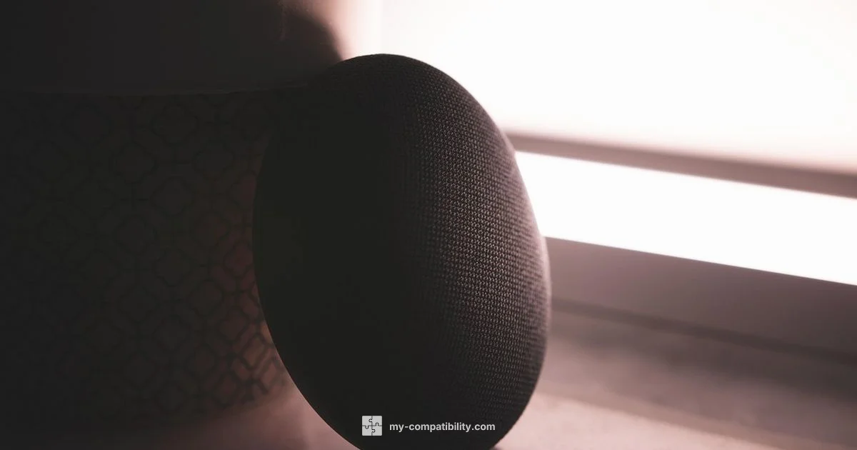 Google Home Camera Guide - My Compatibility