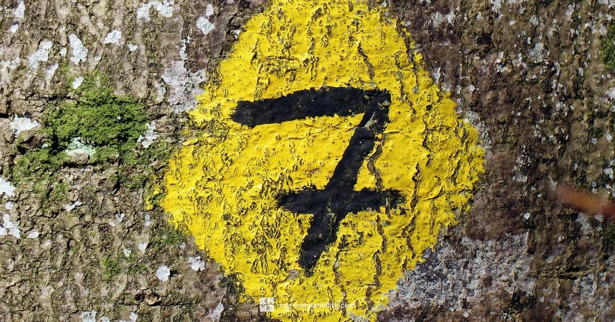 Seven-Energy Guide - My Compatibility